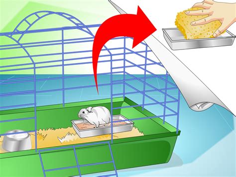 hamster odir|3 Formas de Tirar o Odor da Gaiola de Hamster